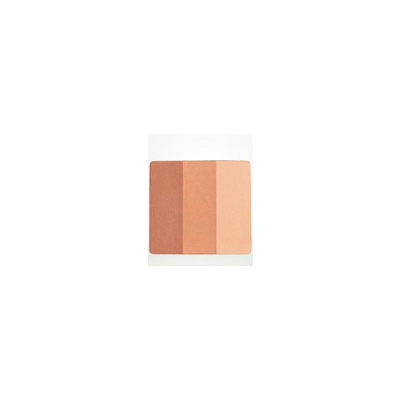 Aveda Petal Essence Face Accents 175 Tesserae 8,5gr